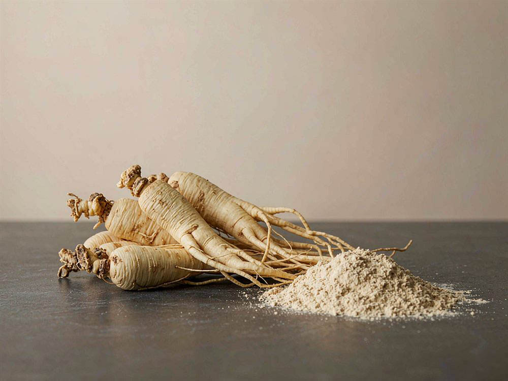 Ginseng Extract: The Complete B2B Sourcing Guide for Panax Ginseng vs. American Ginseng